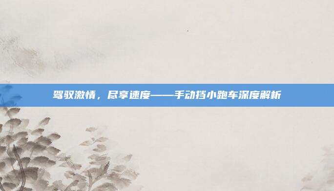 驾驭激情,尽享速度——手动挡小跑车深度解析