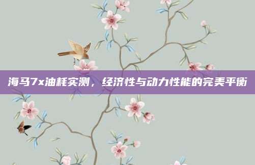 海马7x油耗实测,经济性与动力性能的完美平衡
