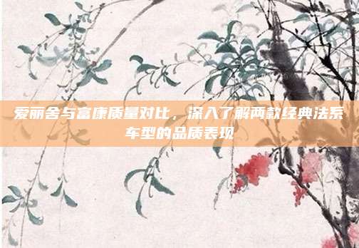 爱丽舍与富康质量对比,深入了解两款经典法系车型的品质表现