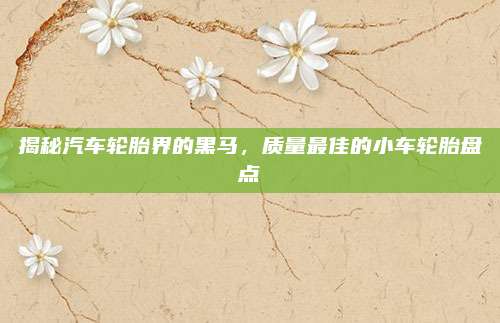 揭秘汽车轮胎界的黑马,质量最佳的小车轮胎盘点