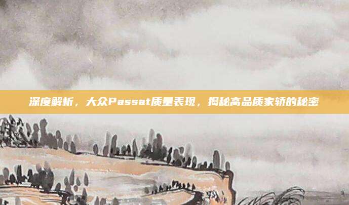 深度解析,大众Passat质量表现,揭秘高品质家轿的秘密
