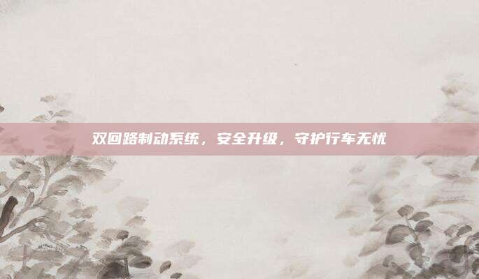 双回路制动系统,安全升级,守护行车无忧