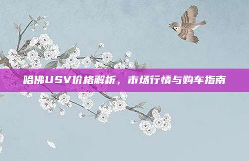 哈佛USV价格解析，市场行情与购车指南