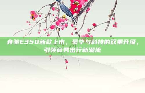 奔驰E350新款上市,豪华与科技的双重升级,引领商务出行新潮流