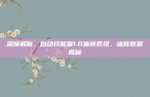 深度解析,自动挡熊猫1.0油耗表现,油耗数据揭秘