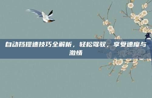 自动挡提速技巧全解析,轻松驾驭,享受速度与激情