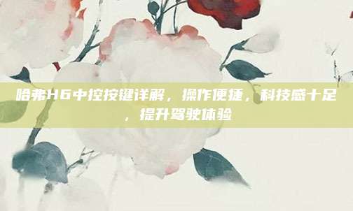 哈弗H6中控按键详解，操作便捷，科技感十足，提升驾驶体验