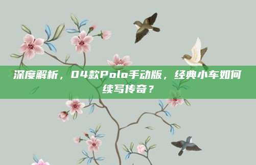 深度解析,04款Polo手动版,经典小车如何续写传奇?
