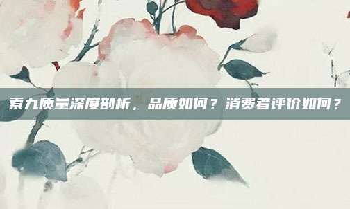 索九质量深度剖析,品质如何?消费者评价如何?