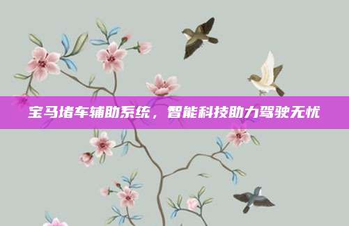 宝马堵车辅助系统,智能科技助力驾驶无忧
