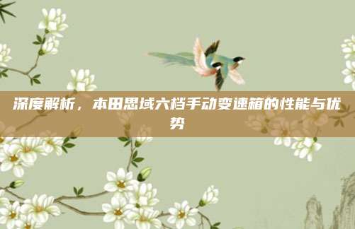 深度解析,本田思域六档手动变速箱的性能与优势