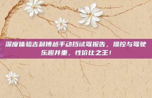 深度体验吉利博越手动挡试驾报告,操控与驾驶乐趣并重,性价比之王!