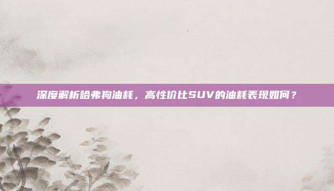 深度解析哈弗狗油耗,高性价比SUV的油耗表现如何?
