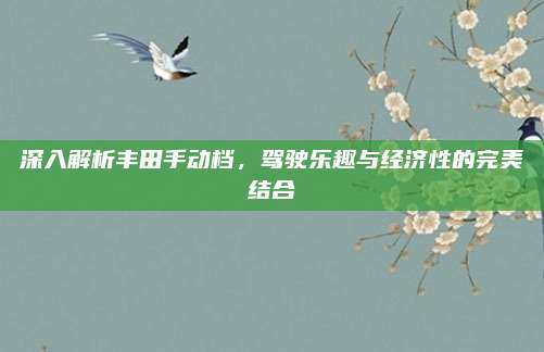 深入解析丰田手动档,驾驶乐趣与经济性的完美结合
