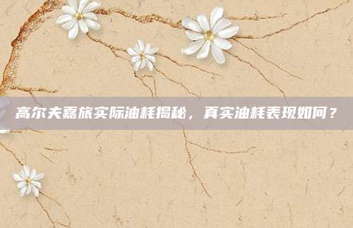 高尔夫嘉旅实际油耗揭秘,真实油耗表现如何?