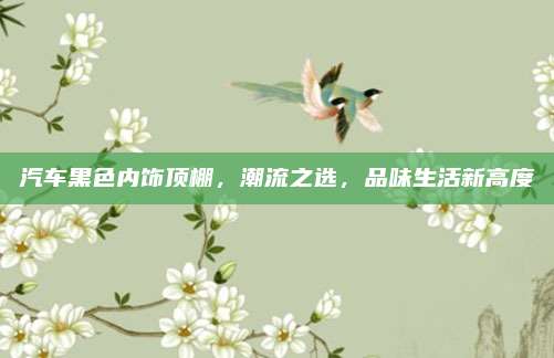 汽车黑色内饰顶棚，潮流之选，品味生活新高度