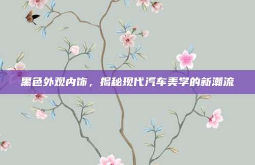 黑色外观内饰,揭秘现代汽车美学的新潮流