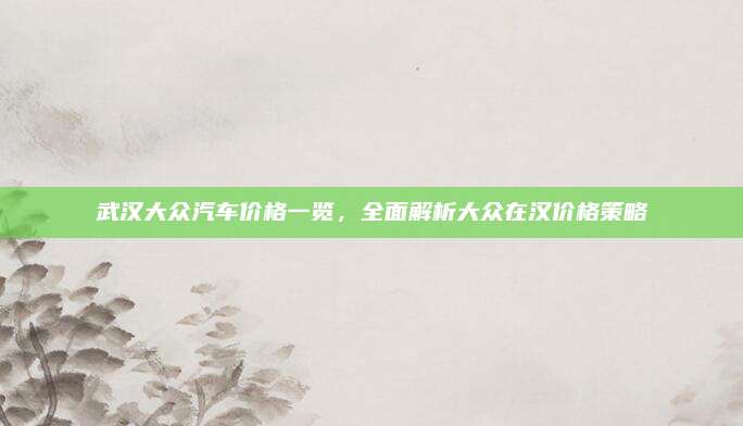 武汉大众汽车价格一览,全面解析大众在汉价格策略