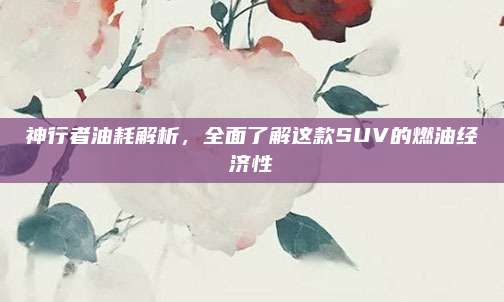 神行者油耗解析，全面了解这款SUV的燃油经济性