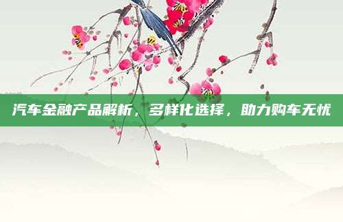 汽车金融产品解析,多样化选择,助力购车无忧