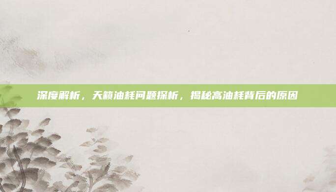 深度解析,天籁油耗问题探析,揭秘高油耗背后的原因