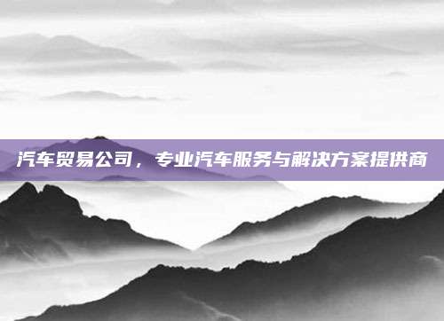 汽车贸易公司，专业汽车服务与解决方案提供商