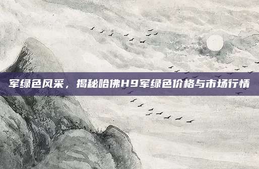 军绿色风采,揭秘哈佛H9军绿色价格与市场行情