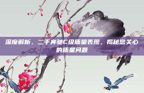 深度解析,二手奔驰C级质量表现,揭秘您关心的质量问题
