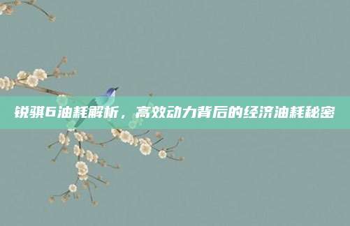 锐骐6油耗解析,高效动力背后的经济油耗秘密