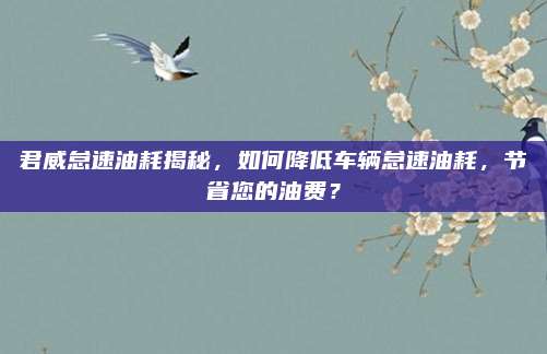君威怠速油耗揭秘,如何降低车辆怠速油耗,节省您的油费?