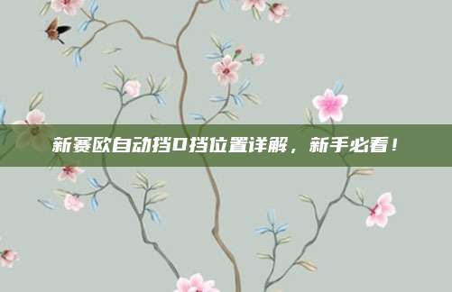 新赛欧自动挡D挡位置详解,新手必看!