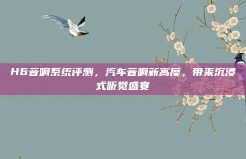 H6音响系统评测,汽车音响新高度,带来沉浸式听觉盛宴