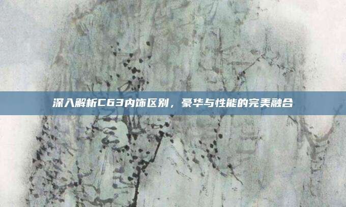 深入解析C63内饰区别,豪华与性能的完美融合