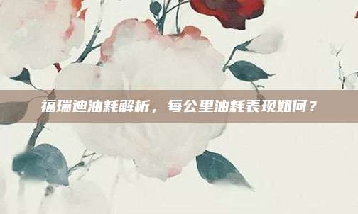 福瑞迪油耗解析,每公里油耗表现如何?