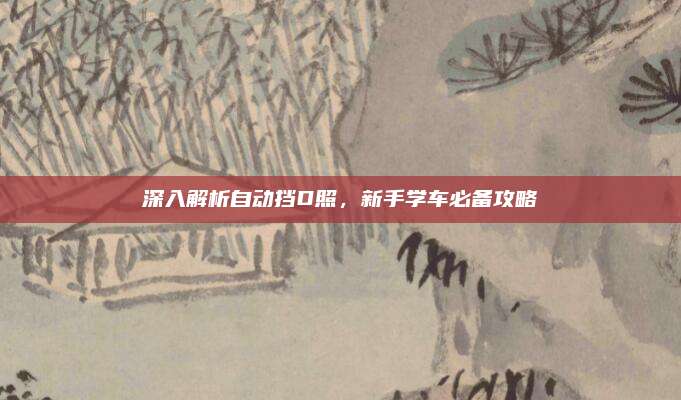 深入解析自动挡D照,新手学车必备攻略