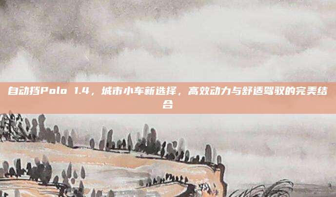 自动挡Polo 1.4，城市小车新选择，高效动力与舒适驾驭的完美结合