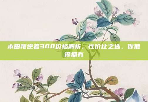 本田叛逆者300价格解析,性价比之选,你值得拥有