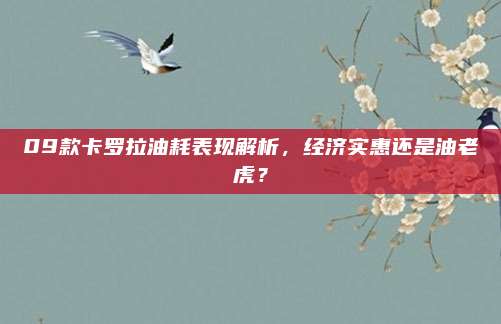 09款卡罗拉油耗表现解析，经济实惠还是油老虎？