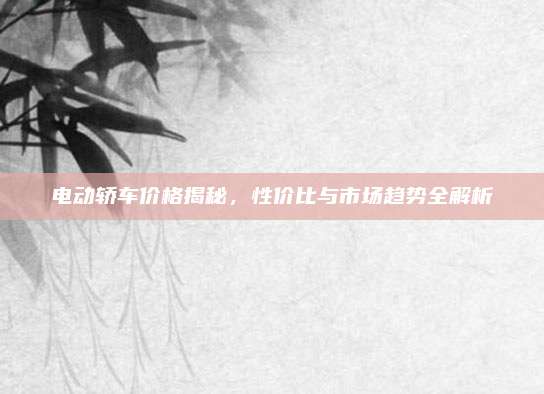 电动轿车价格揭秘,性价比与市场趋势全解析