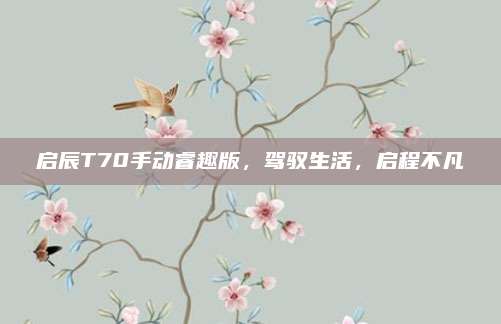 启辰T70手动睿趣版,驾驭生活,启程不凡