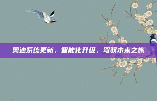 奥迪系统更新，智能化升级，驾驭未来之旅