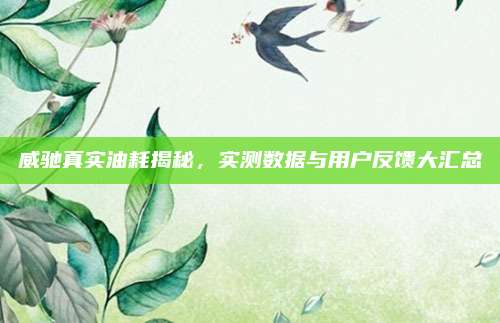 威驰真实油耗揭秘，实测数据与用户反馈大汇总