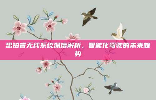 思铂睿无线系统深度解析,智能化驾驶的未来趋势
