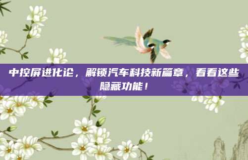 中控屏进化论，解锁汽车科技新篇章，看看这些隐藏功能！