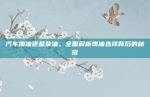 汽车加油还是柴油，全面解析燃油选择背后的秘密