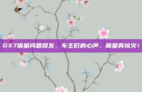 GX7质量问题频发，车主们的心声，质量真恼火！