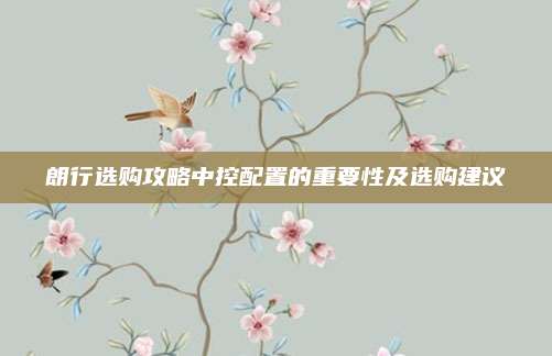 朗行选购攻略中控配置的重要性及选购建议