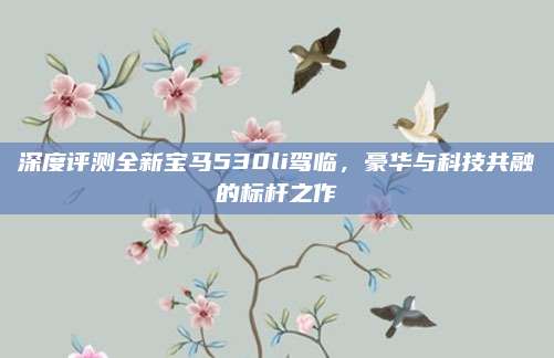 深度评测全新宝马530li驾临,豪华与科技共融的标杆之作