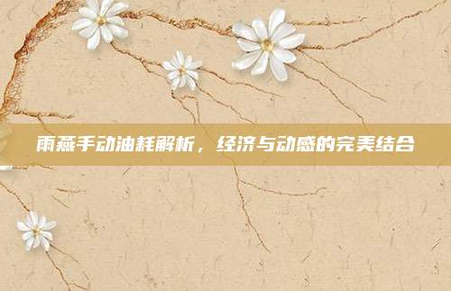 雨燕手动油耗解析,经济与动感的完美结合