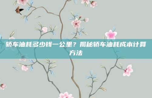 轿车油耗多少钱一公里？揭秘轿车油耗成本计算方法